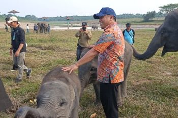 Menjaga Way Kambas untuk generasi mendatang