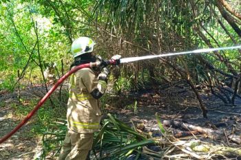 Bekas puntung rokok picu kebakaran lahan di Pulau Tidung
