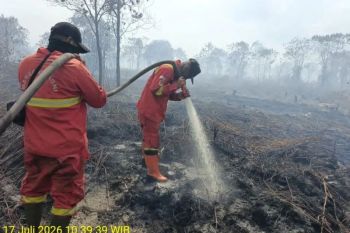 BPBD Sumsel: 11 daerah telah tetapkan siaga karhutla