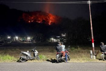 Polisi: Kebakaran hutan Imogiri hanguskan delapan hektare lahan dipadamkan manual