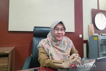 Produksi padi Jabar meningkat meski produktivitas terkikis