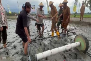 Parimo masifkan implementasi PM-AAS tingkatkan produktivitas padi