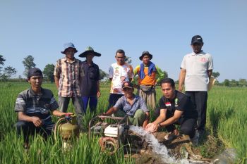 DKP3 Majalengka: Penggunaan gas LPG bantu petani hemat biaya irigasi