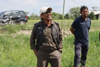 DPTPH Kaltim maksimalkan 188 hektare lahan  di Kabupaten Berau