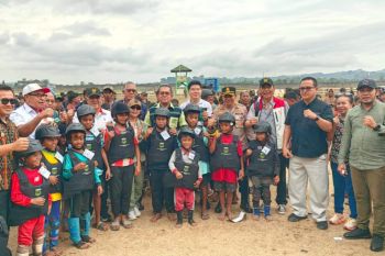 KN Pordasi: Sumba potensi besar wisata olahraga berkuda