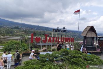 Jatiluwih garap aktivitas wisata pertanian dan olahraga untuk tingkatkan ekonomi warga