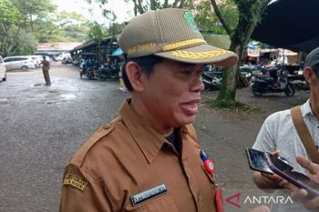 Pasokan membaik turunkan harga cabai di Tapin selama juli