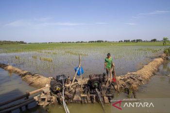Program pompanisasi atasi kekeringan nasional