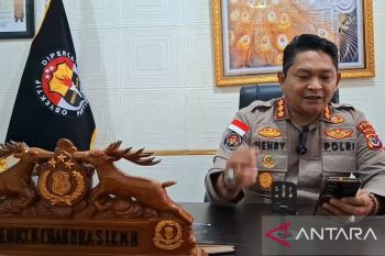Polda NTT masih selidiki dugaan penyimpangan kuota sapi di TTS