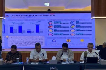Kemenkeu: Dukungan APBN untuk ketahanan pangan Jatim Rp904,23 miliar