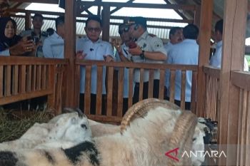 KSP apresiasi pengembangan ketahanan pangan di Lapas Nusakambangan