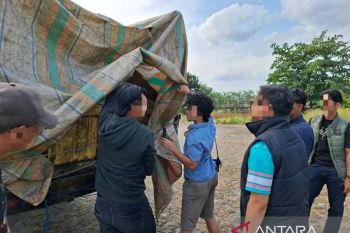 TNI AL gagalkan penyelundupan timah di Pelabuhan Belitung