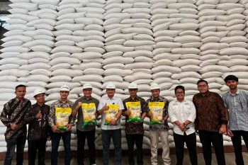 Bulog: Realisasi SPHP di Aceh capai 70 persen
