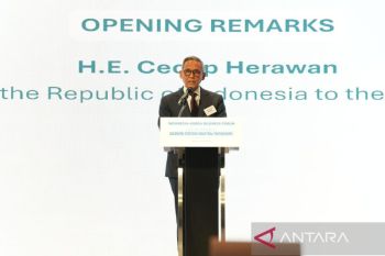 Seoul forum: Indonesia seeks more South Korean industrial capital