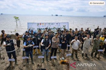 PT ITA dan Pemkab Siak tanam 5.000 mangrove, perkuat kolaborasi jaga pesisir