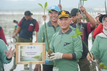 Pemkot tanam 1.000 mangrove guna cegah abrasi pesisir Kendari