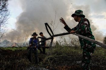 Palangka Raya perkuat antisipasi dampak karhutla terhadap sektor pertanian