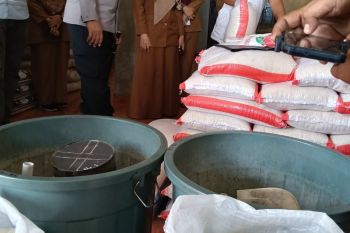 Pemkab Pasaman Barat pastikan beras mencukupi sampai Agustus
