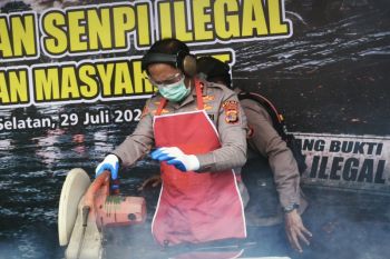 Polda Lampung hancurkan 166 pucuk senjata api rakitan dari masyarakat
