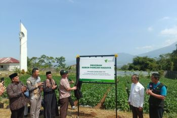 Dompet Dhuafa terus perluas program pemberdayaan dan ketahanan pangan