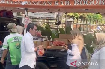 DKP Bogor manfaatkan Gerakan Pangan Murah Istimewa guna edukasi konsumsi B2SA