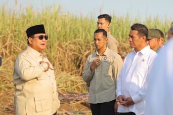 Indonesia orders sugar processors to own local cane plantations