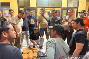 Tim gabungan Ditresnarkoba Polda Sumbar-Polres Pasaman Barat gagalkan peredaran puluhan paket ganja