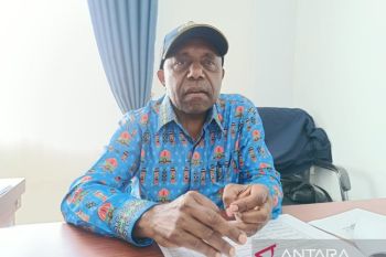 Kementan anggarkan Rp24,5 miliar cetak sawah rakyat di Kabupaten Jayawijaya