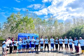 PNM Ambon tanam 22 ribu mangrove serentak di 18 kawasan pesisir di Indonesia peringati hari mangrove sedunia