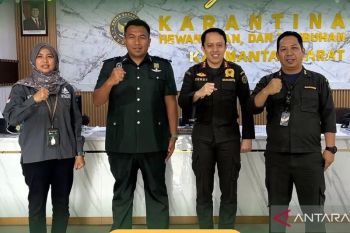 Karantina Kalbar-Sarawak perkuat pengawasan perbatasan