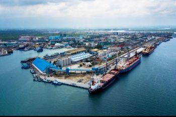 Pelindo Multi Terminal catat peningkatan bongkar muat curah kering