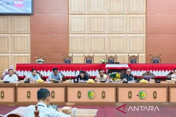 DPRD Palangka Raya minta PLN segera atasi pemadaman listrik bergilir