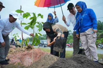 Pemkab Siak Riau tanam 5.050 bibit pohon sepanjang 15 kilometer di Jalur Mempura-Dayun