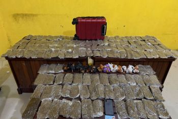 Polisi tangkap pengedar 5,4 kg ganja di Pelabuhan Sorong