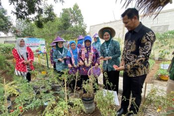 Paramount Petals: Program CSR berikan manfaat berkelanjutan