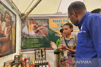 DKLH Papua dampingi lima kampung prioritas program "ekonomi hijau"