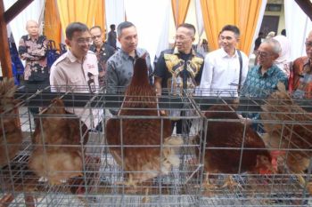 Entaskan kemiskinan ekstrem, industri jasa keuangan dukung Desa Berdaya NTB