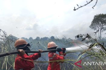 Manggala Agni sebut karhutla di Karya Jaya sudah padam total