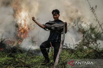 BPBD Palangka Raya tangani 126 kebakaran selama status siaga darurat karhutla