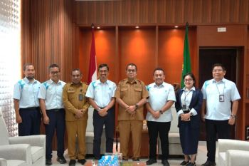 Pemerintah dan PLN kolaborasi percepat sambungan listrik di pelosok
