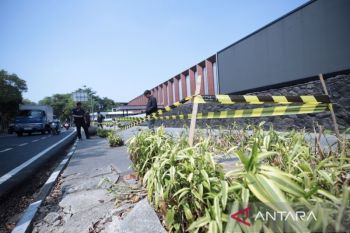 Wali Kota ancam pidanakan pelaku penebangan 10 pohon di Jalan Riau Bandung