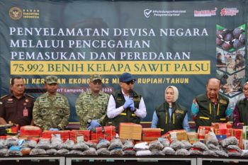 Barantin gagalkan peredaran 75.992 benih sawit ilegal di Lampung