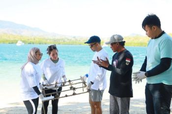 PIS restorasi 100 fragmen terumbu karang di laut Bali barat