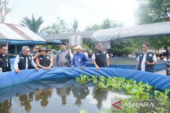 Komisi II DPRD Kalsel dorong penguatan budidaya haruan