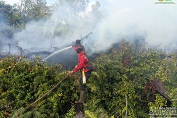 Manggala Agni bantu padamkan 12,2 hektar kebakaran di Pelalawan