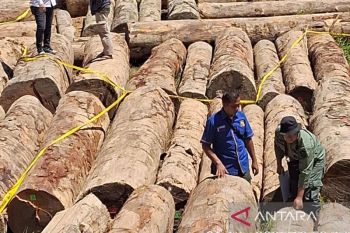 Gakkum Kehutanan limpahkan tersangka pemanen hasil hutan tanpa hak ke Kejari Solok