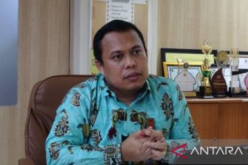 Penerimaan pajak KPP Pratama Timika hingga Juli terealisasi Rp306 miliar