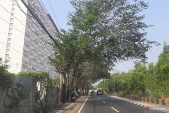 Polisi Bekasi tangkap lima terduga pelaku pengeroyokan di Kalimalang
