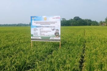 Distan Lebak siapkan 201 pompa air untuk hadapi musim kemarau