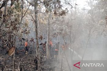 Karhutla di Sungai Rotan Muara Enim meluas capai 8,5 hektare